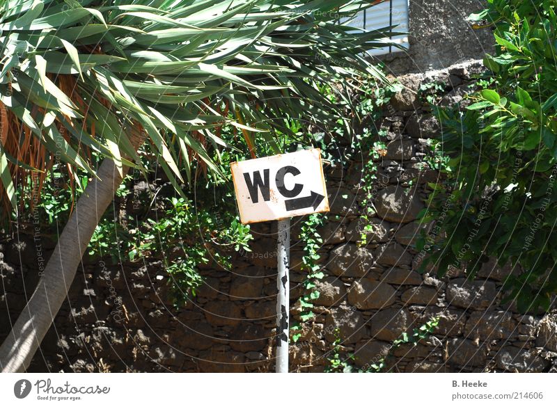 LAVATORY Trip Summer Signs and labeling Colour photo Exterior shot Day Arrow Road marking Deserted Plant Exotic Toilet Right Wall (barrier)