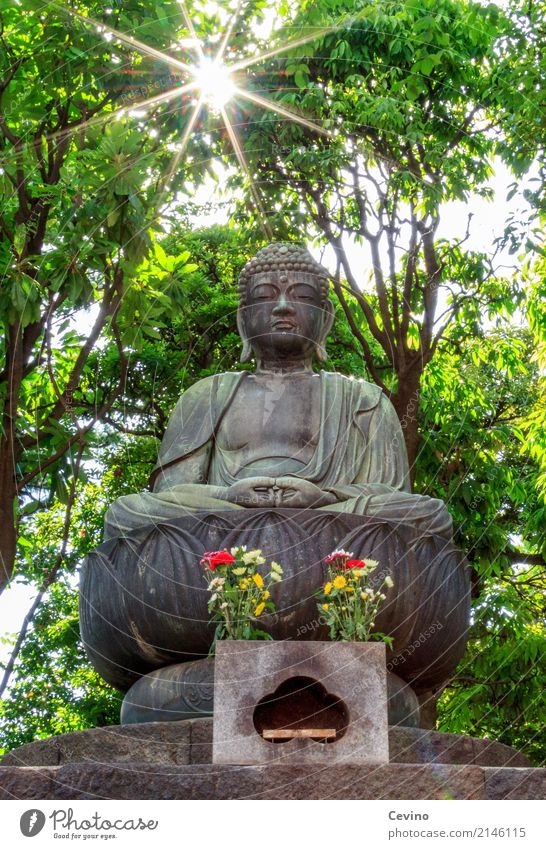 Hello friend! Tokyo Japan Asia Capital city Downtown Tourist Attraction Attentive Caution Serene Patient Calm Religion and faith Buddha Statue of Buddha Peace