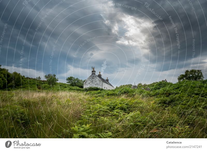 Lonely house in the middle of nature Summer Hiking Landscape Plant Sky Storm clouds Bad weather Tree Grass Bushes Fern Meadow Detached house Chimney Old