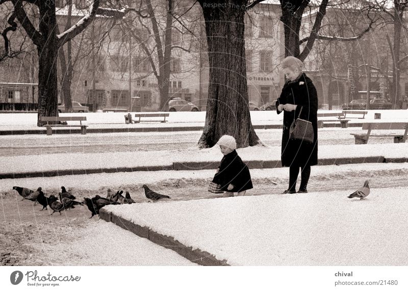 pigeon feeding Woman Child Pigeon Feeding Park Stuttgart Castle place