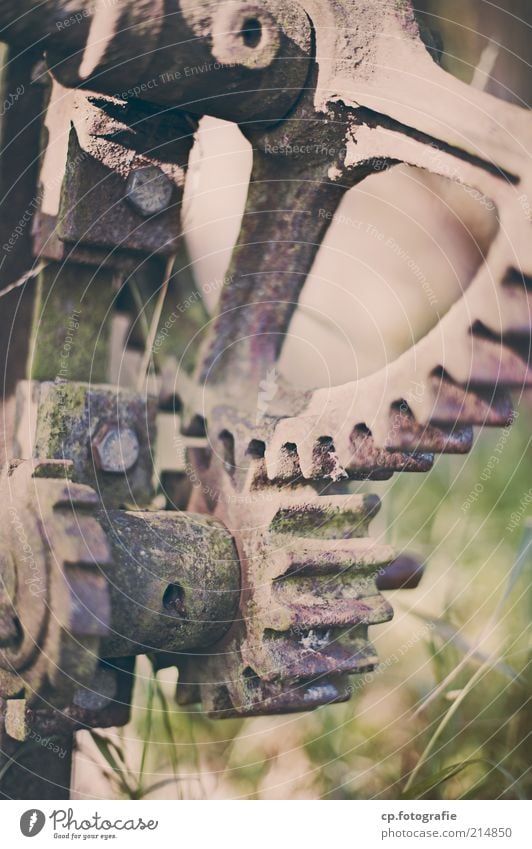 toothed wheels Industry Machinery Gearwheel Rust Screw Metal Old Hideous Gloomy Day Shallow depth of field Grass Decline Change Deserted