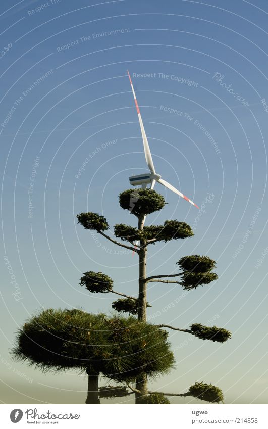 green wind Energy industry Wind energy plant Environment Air Sky Beautiful weather Tree Rotate Tall Blue Green Calm Colour photo Exterior shot Day Blue sky
