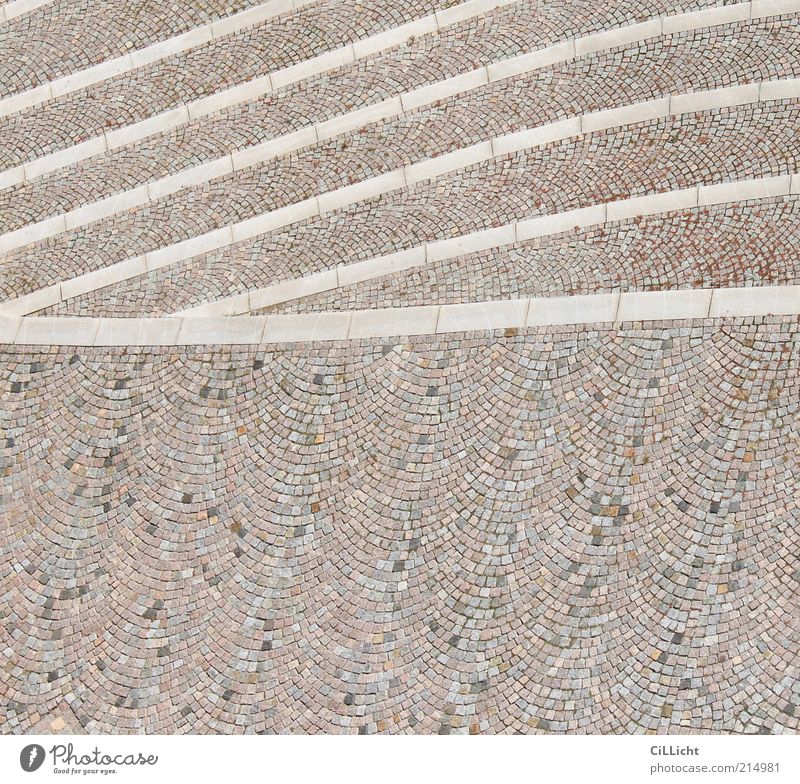 waves Earth Places Stone Line Esthetic Simple Brown Gray White Altenburg Paving stone Curved Colour photo Exterior shot Aerial photograph Pattern