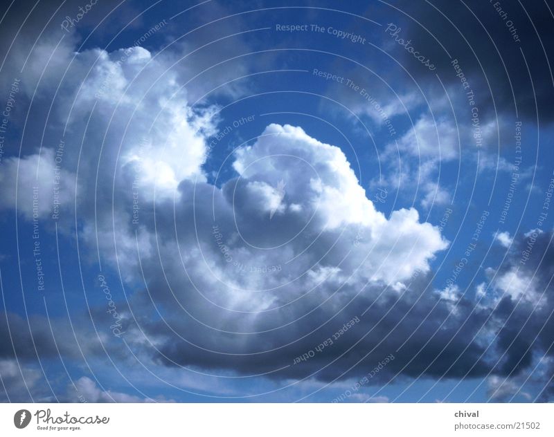 clouds Clouds White Gray Summer Sky Blue Contrast Sun Thunder and lightning Weather Climate