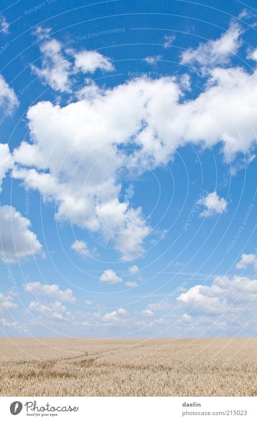 heaven day cloudy Landscape Sky Clouds Horizon Autumn Beautiful weather Agricultural crop Field Blue Sky blue Clouds in the sky Cloud formation Cloud pattern
