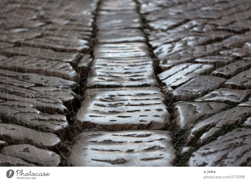 retro flooring Street Lanes & trails Stone Glittering Illuminate Old Authentic Dark Under Gray Past Rovinj Paving stone Subdued colour Exterior shot Deserted