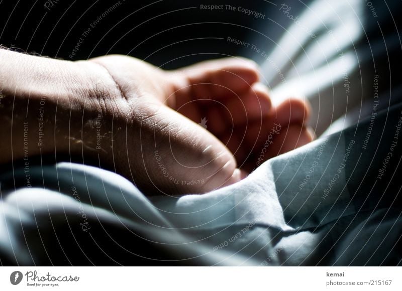 Resting Hand Well-being Relaxation Calm Living or residing Flat (apartment) Bed Human being Masculine Man Adults Life Skin Fingers 1 45 - 60 years Lie Sleep