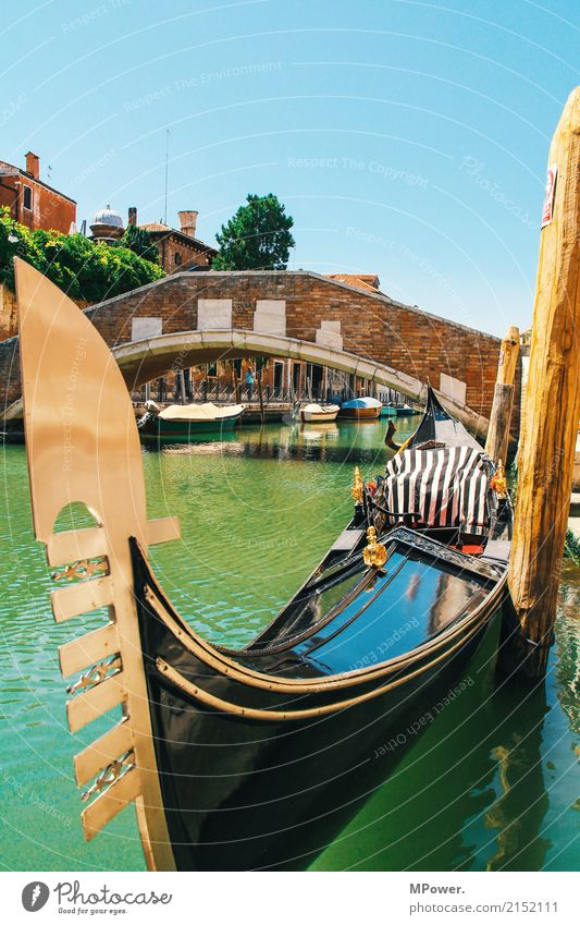 through venice gondola Town Port City Old town Beautiful Venice Gondola (Boat) Bridge Waterway Tourism Turquoise Summer Summer vacation City trip Cliche Taxi