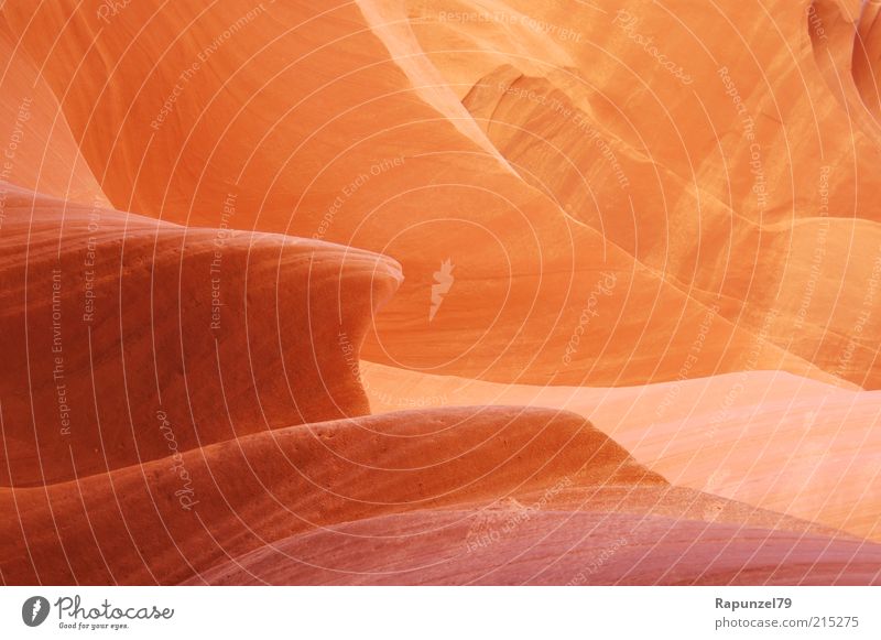 soft stone Nature Rock Antelope Canyon Brown Orange Smooth Warm light Colour photo Detail Structures and shapes Day Light (Natural Phenomenon) Sunlight