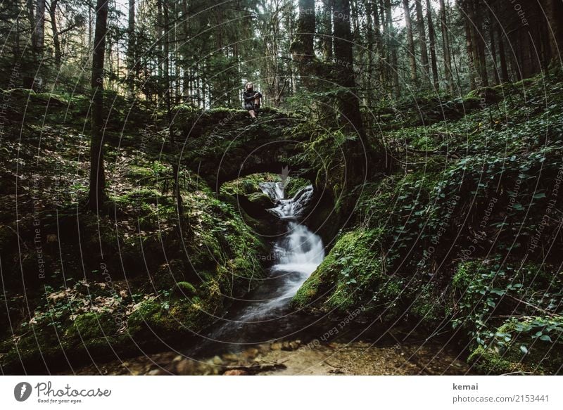 Romantic Bridge In The Forest A Royalty Free Stock Photo From Photocase