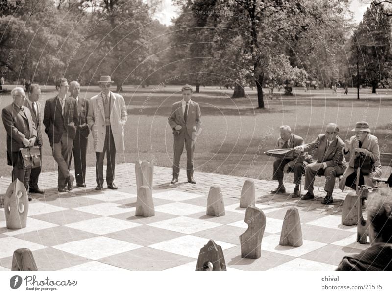 game of chess Playing Chess Audience Chessboard Chess piece Group Piece