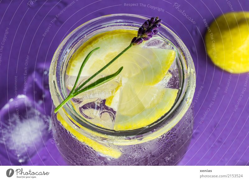 Ice cooled lemon water with lavender Fruit Herbs and spices Lemon Lavender Ice cube Organic produce Vegetarian diet Beverage Cold drink Drinking water Lemonade