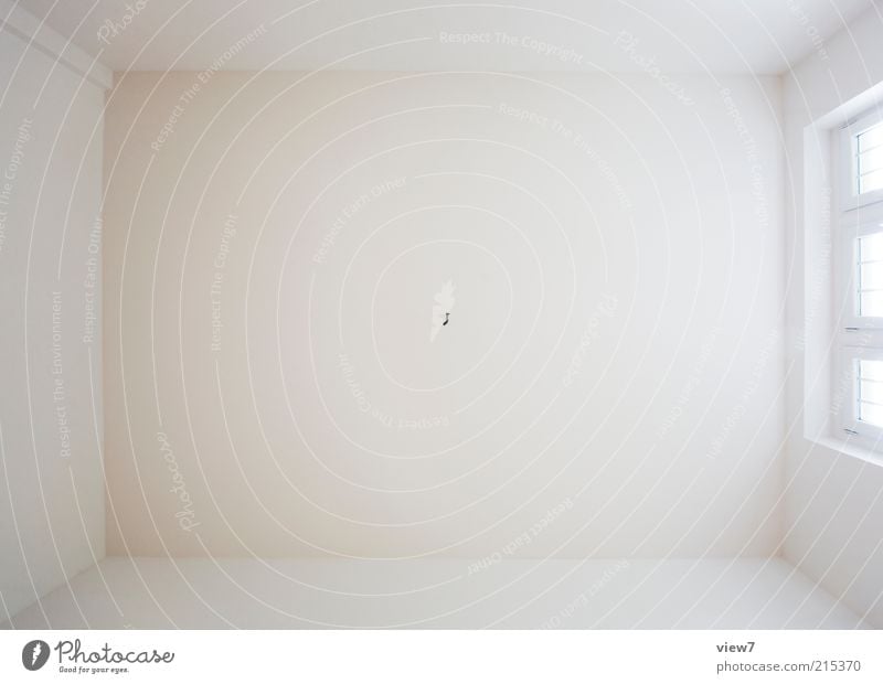 ceiling Wall (barrier) Wall (building) Esthetic Authentic Simple Large New Beautiful White Ceiling Window Ingrain wallpaper Interior shot Experimental