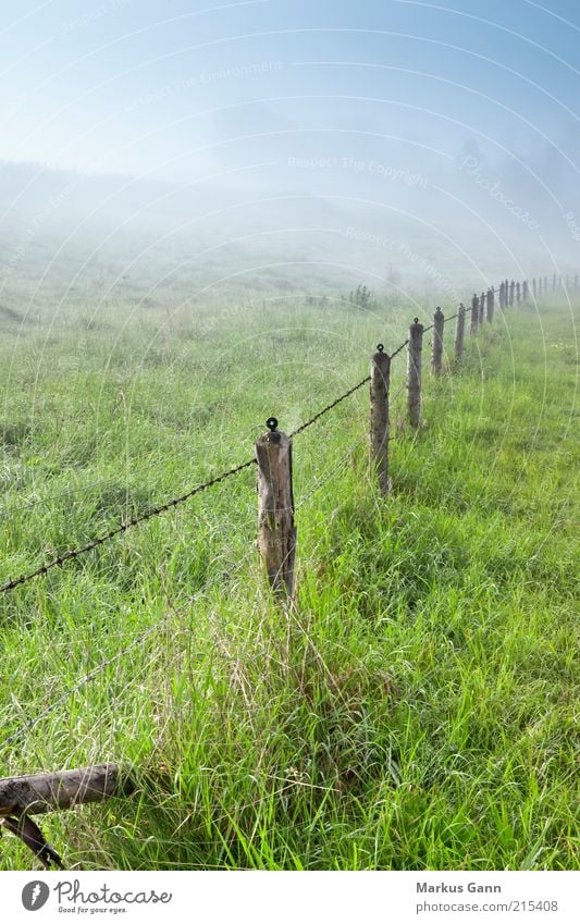 morning fog Nature Landscape Air Fog Meadow Green Germany Morning Dawn Morning fog Barbed wire fence Fence Fence post Bavaria Colour photo Subdued colour