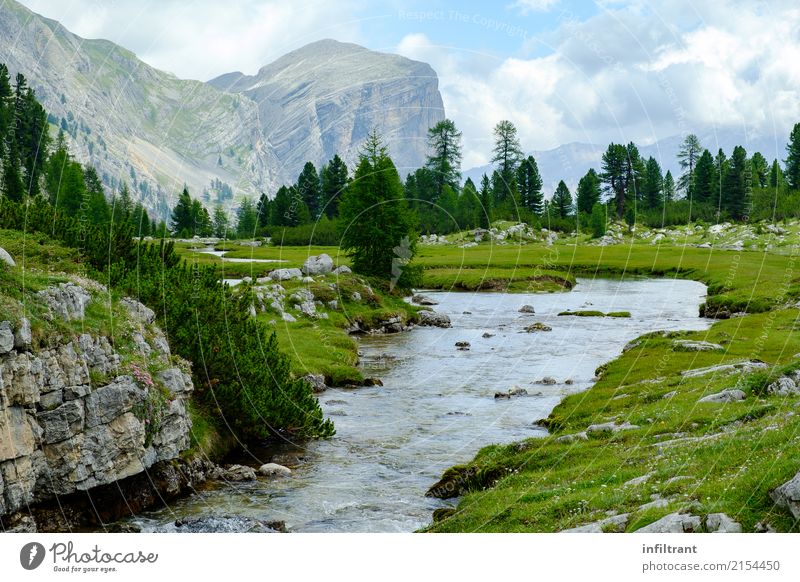 in the Dolomites Vacation & Travel Mountain Hiking Landscape Water Clouds Summer Meadow Forest Rock Alps Brook Italy Esthetic Natural Blue Gray Green