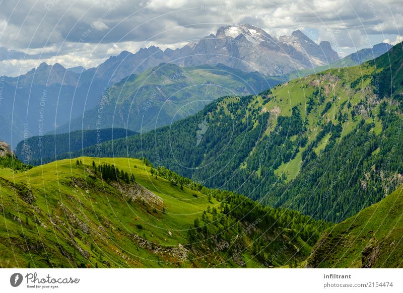 in the Dolomites Vacation & Travel Trip Adventure Far-off places Freedom Mountain Hiking Environment Landscape Clouds Beautiful weather Grass Meadow Forest Hill