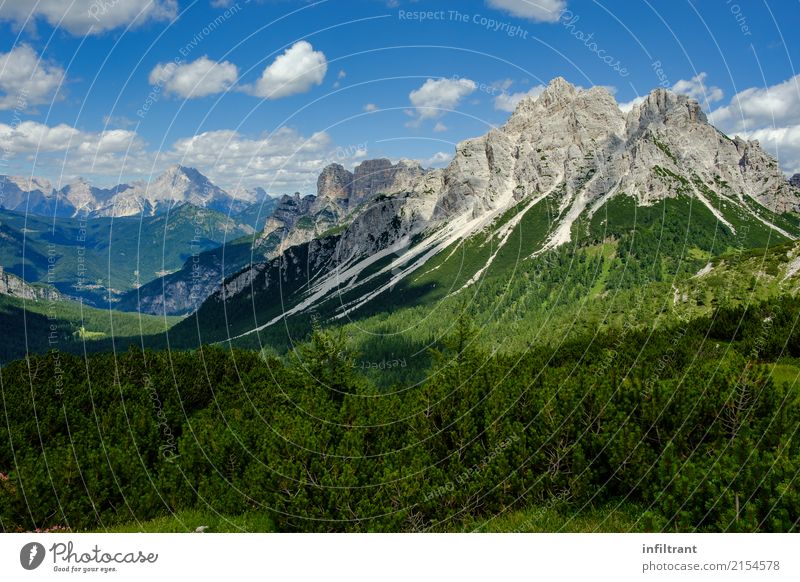 in the Dolomites Vacation & Travel Trip Adventure Far-off places Freedom Mountain Hiking Landscape Sky Clouds Bushes Meadow Forest Hill Rock Alps Peak Italy
