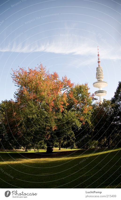 My Hamburg in autumn Television tower Tall Autumn Autumn leaves Tree Maple tree Red Orange Yellow Yellow-orange Russet Leaf Twigs and branches Tower