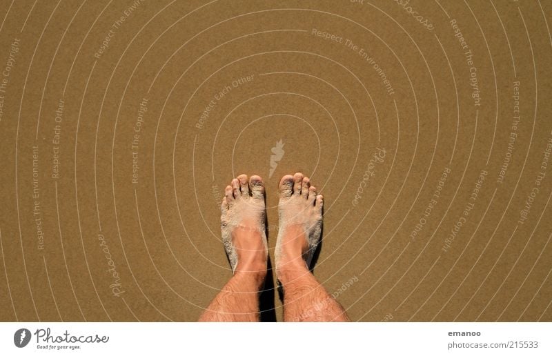 atlantic feet Vacation & Travel Tourism Summer Summer vacation Beach Human being Masculine Feet 1 Nature Sand Coast Stand Wait Dirty Brown 2 Colour photo