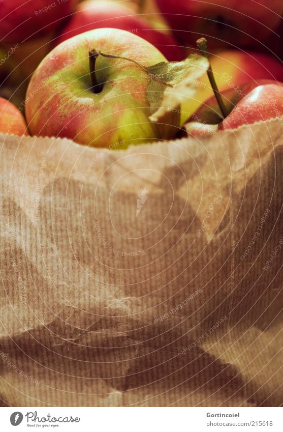 organic Food Fruit Apple Nutrition Organic produce Delicious Harvest Paper bag Apple harvest Apple stalk Healthy Eating Colour photo Interior shot