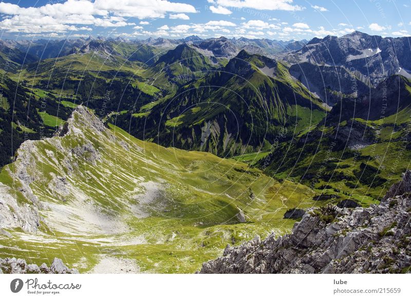 View from Künzelspitze Environment Nature Landscape Sunlight Summer Climate Beautiful weather Hill Rock Alps Mountain Freedom Forest of Bregenz