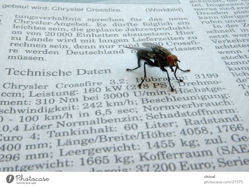 Technical interest Newspaper Reading Communication Fly Technology