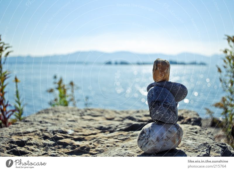 He's enjoying the view. Harmonious Relaxation Calm Far-off places Freedom Summer Environment Nature Elements Water Sky Cloudless sky Horizon Beautiful weather