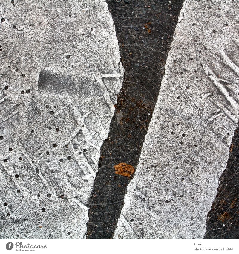 [HH10.1] - Lifelines #18 Leaf Road traffic Street Line Hot Gray Colour Asphalt Dye Imprint Impression Tire tread Floor covering Pavement Molten Tar Footprint