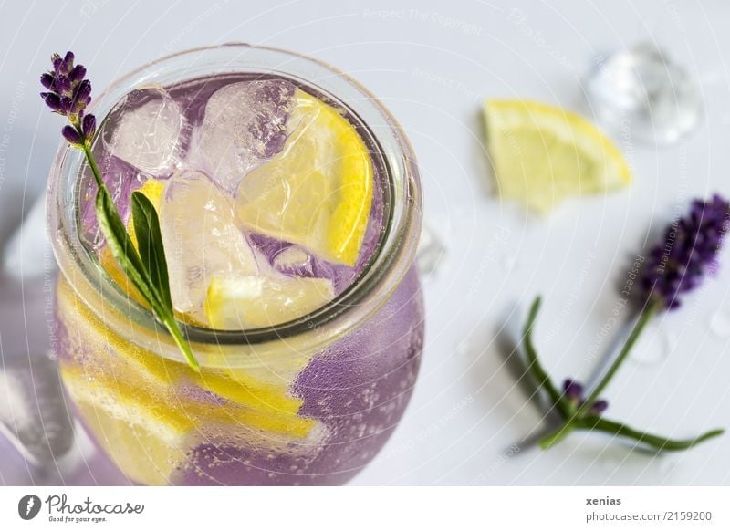 Flavoured lavender water with lemon, lavender blossom and ice cubes Beverage Lavender Lemon Ice cube Fruit Herbs and spices Cold drink Drinking water Glass
