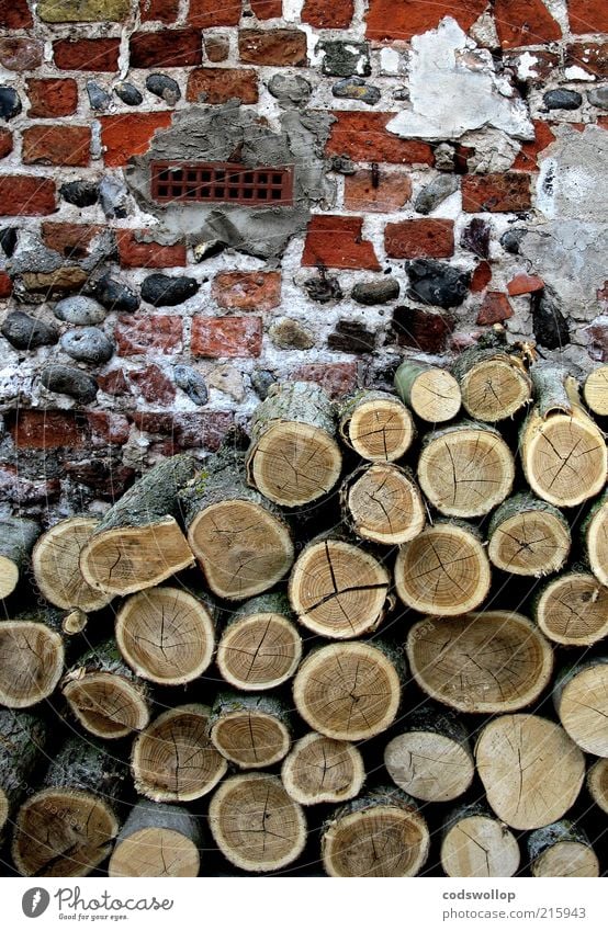 bricks and firewood Living or residing Agriculture Forestry Autumn Winter Climate change Energy Firewood Brick Old building Old fashioned Supply Stack of wood