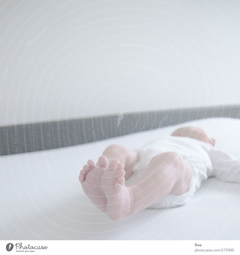 new world / part 1 Living or residing Bed Human being Baby Toddler Infancy Feet 0 - 12 months Lie Sleep White Happy Contentment Warm-heartedness Legs Movement