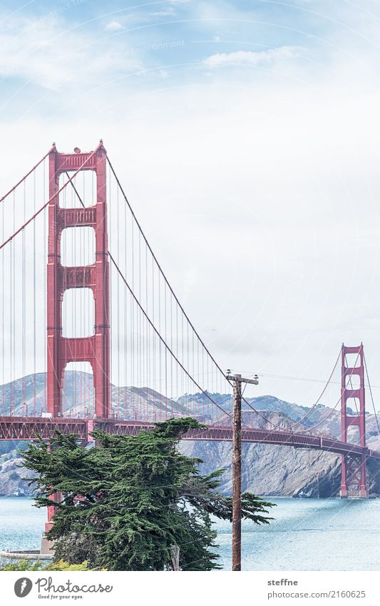 Around the World: San Francisco Travel photography Tourism Vacation & Travel Round trip around the world steffne Golden Gate Bridge Landmark Card