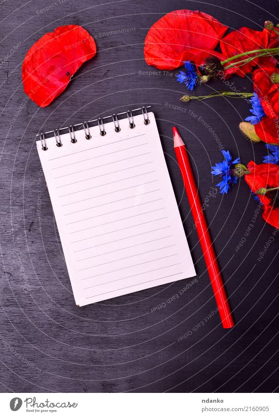 Empty paper notepad Beautiful Summer Nature Plant Flower Leaf Blossom Paper Bouquet Natural Wild Blue Red Black Colour Pencil Poppy Cornflower blooming Bud
