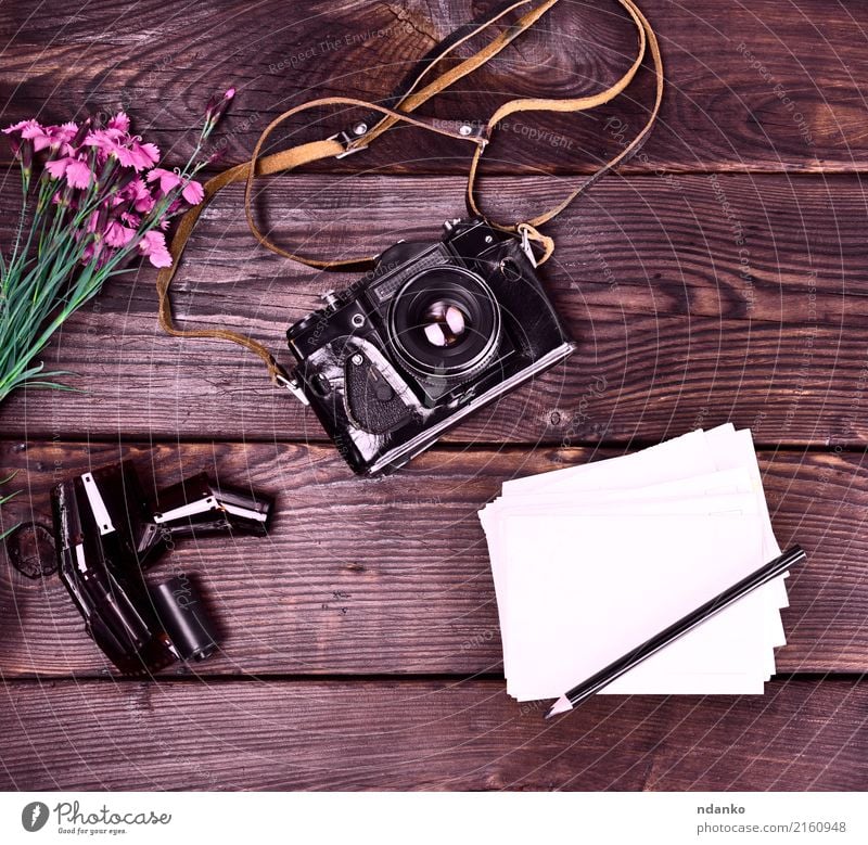 Old vintage film camera in a leather case Vacation & Travel Camera Flower Leather Paper Bouquet Wood Retro Dianthus caryophyllus Card Pencil Photography