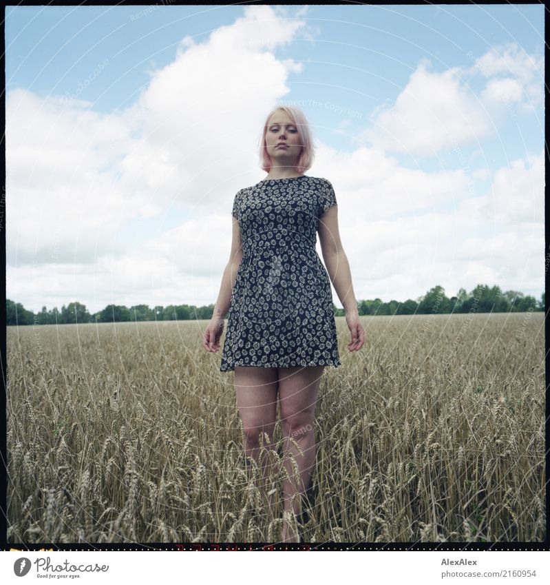 analogue portrait of a young woman standing in a field in a summer dress Grain already Life Well-being Trip Young woman Youth (Young adults) 18 - 30 years