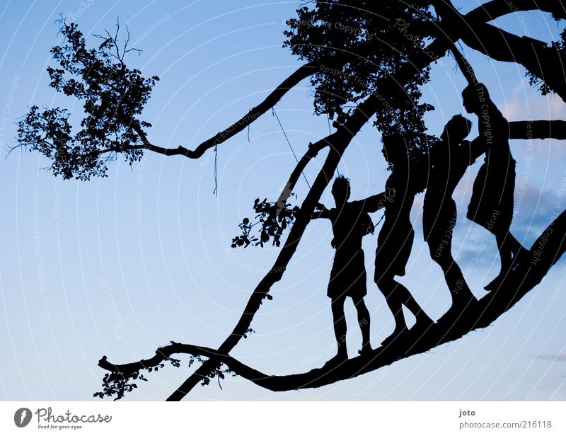 summer night Human being Nature Tree Twigs and branches Esthetic Together Happy Infinity Joy Enthusiasm Bravery Flexible Life Adventure Equal Attachment Group
