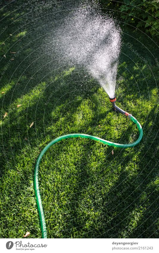 Garden hose and sprayer on green meadow Summer Gardening Tool Hand Environment Nature Grass Tube Wet Green Hose water sprinkler watering Lawn Irrigation Nozzle