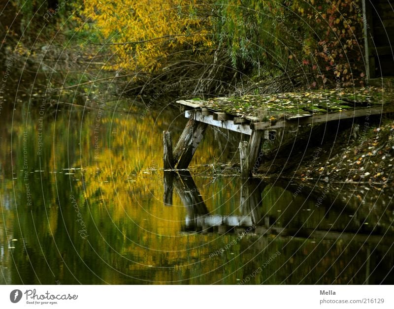 What remains of the day Environment Nature Landscape Water Autumn Lakeside Pond Footbridge Wood Old Dark Broken Natural Brown Moody Calm Loneliness End