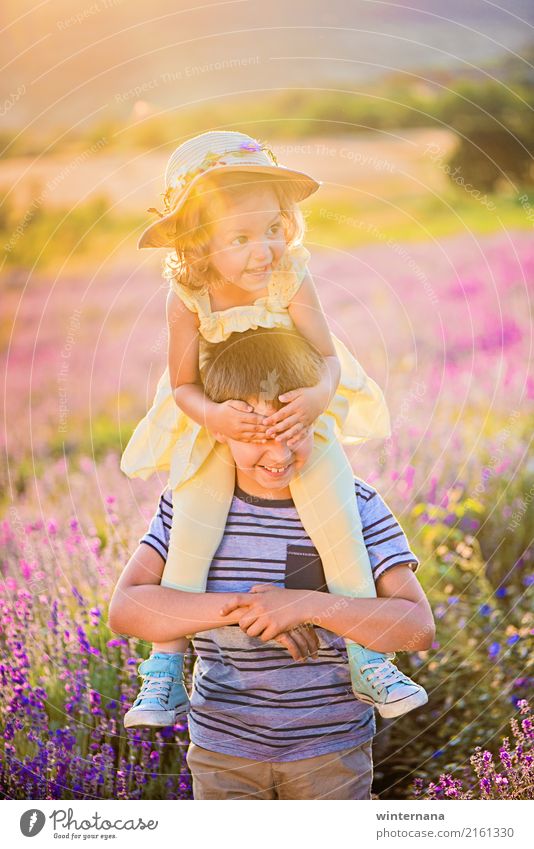 Guess who is there Girl Boy (child) Brothers and sisters 3 - 8 years Child Infancy Environment Nature Beautiful weather Tree Grass Lavender Field Lavender field