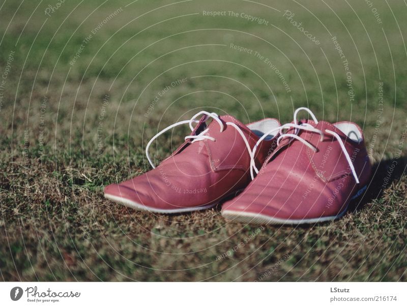 extravagant - analogue Style Fashion Leather Footwear Hip & trendy Uniqueness Trashy Pink Analog Extravagant Object photography Product photography Deserted