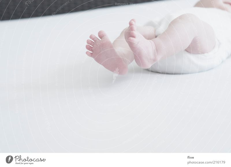 new world / part 3 Living or residing Bed Baby Toddler Infancy Legs Feet 0 - 12 months Growth White Emotions Toes Colour photo Interior shot Copy Space left Day