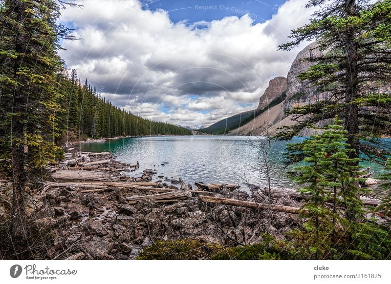 moraine lake Nature Landscape Animal Air Water Sky Clouds Summer Weather Beautiful weather Plant Tree Foliage plant Wild plant Waves Lakeside Bay Esthetic