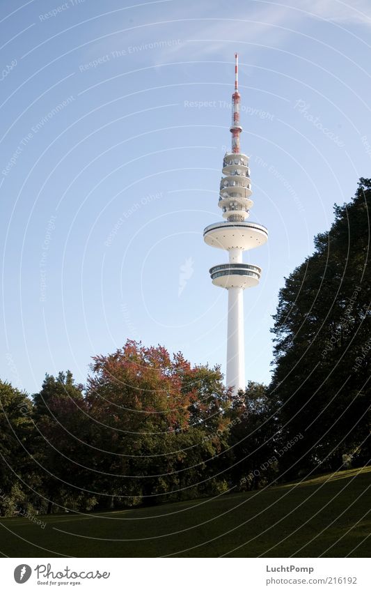 Hamburgo al aire Television tower Tall Autumn Autumn leaves Tree Maple tree Twigs and branches ski jump park Autumnal colours Early fall Autumnal landscape