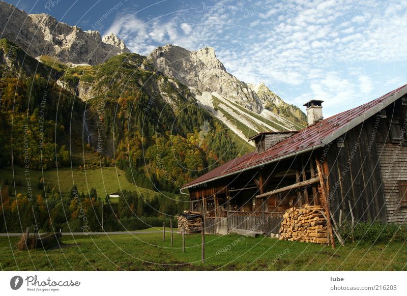 Wood in front of the hut Vacation & Travel Tourism Mountain Dream house Nature Landscape Beautiful weather Rock Alps Peak Hut Living or residing