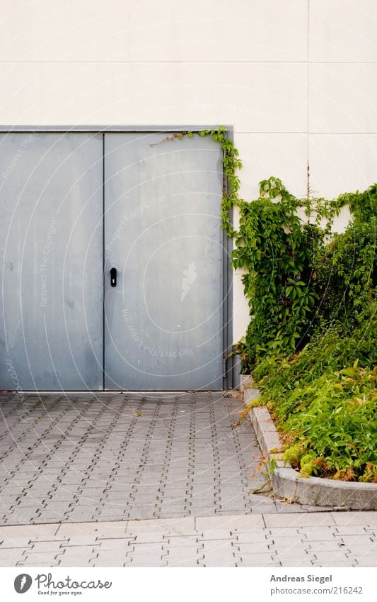 rear entrance Nature Plant Bushes Foliage plant House (Residential Structure) Building Architecture Storage Wall (barrier) Wall (building) Door Entrance