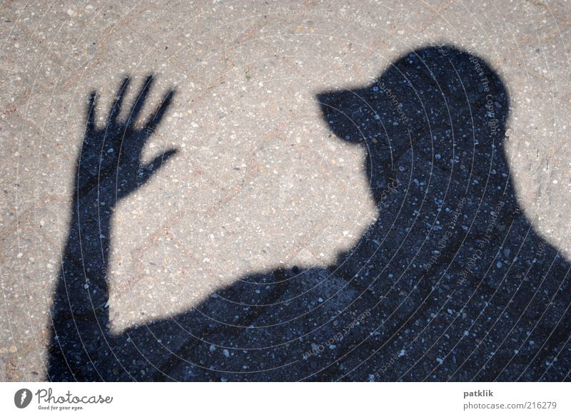 The shadow photographer Masculine Head Hand Fingers 18 - 30 years Youth (Young adults) Adults Black Silhouette Brick Cap Clue Shadow Welcome Goodbye Hi!