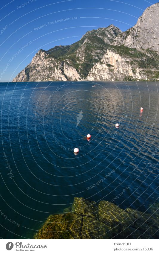 Lake Garda very calm Relaxation Calm Vacation & Travel Summer Sun Mountain Landscape Water Sky Beautiful weather Lakeside Blue Gray Green Moody Trentino Alps