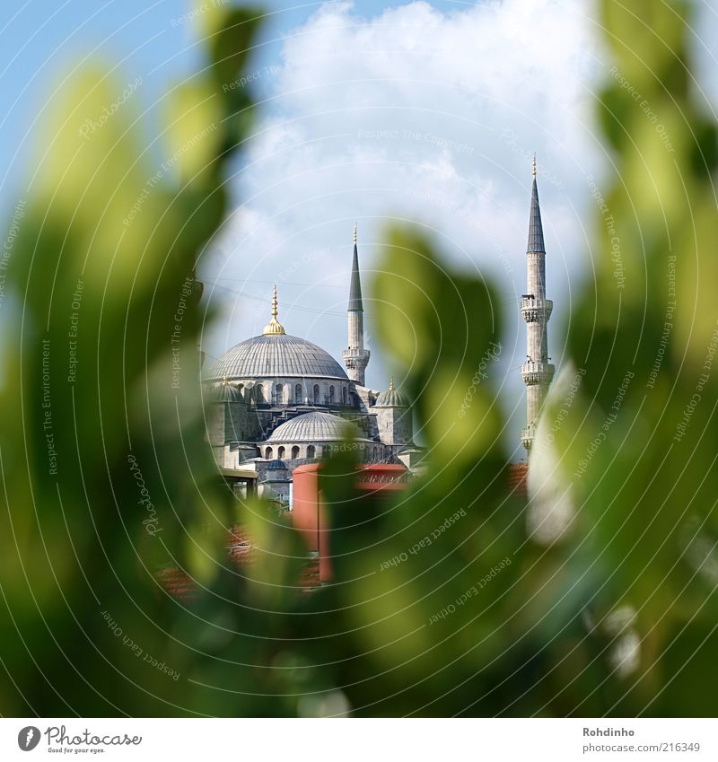 Blue mosque in the countryside Vacation & Travel Tourism Far-off places Sightseeing City trip Summer Istanbul Turkey Old town Manmade structures Building Facade