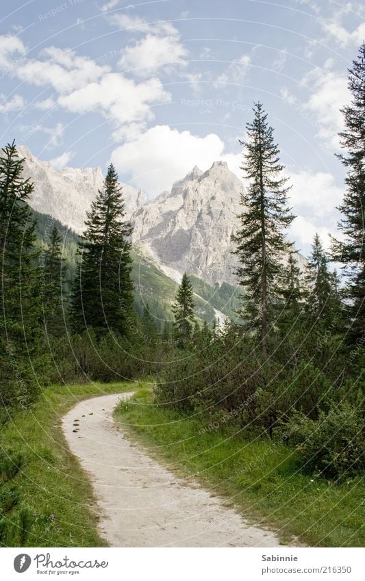 Way to the Talschlusshütte Vacation & Travel Tourism Summer Mountain Environment Nature Landscape Sky Clouds Beautiful weather Tree Bushes Fir tree Spruce