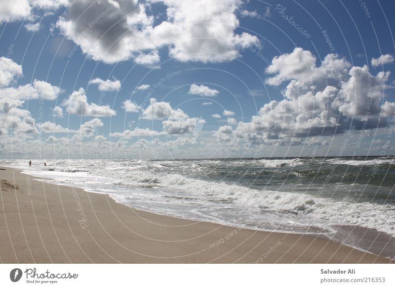 Better to see the North Sea than the Caribbean Nature Air Water Sky Clouds Horizon Summer Beautiful weather Wind Beach Ocean Island Sylt rantum